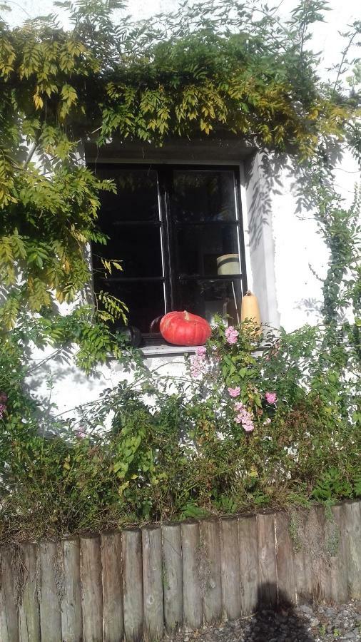 Bed and Breakfast La Colline Des Roses Conchil-le-Temple Екстер'єр фото