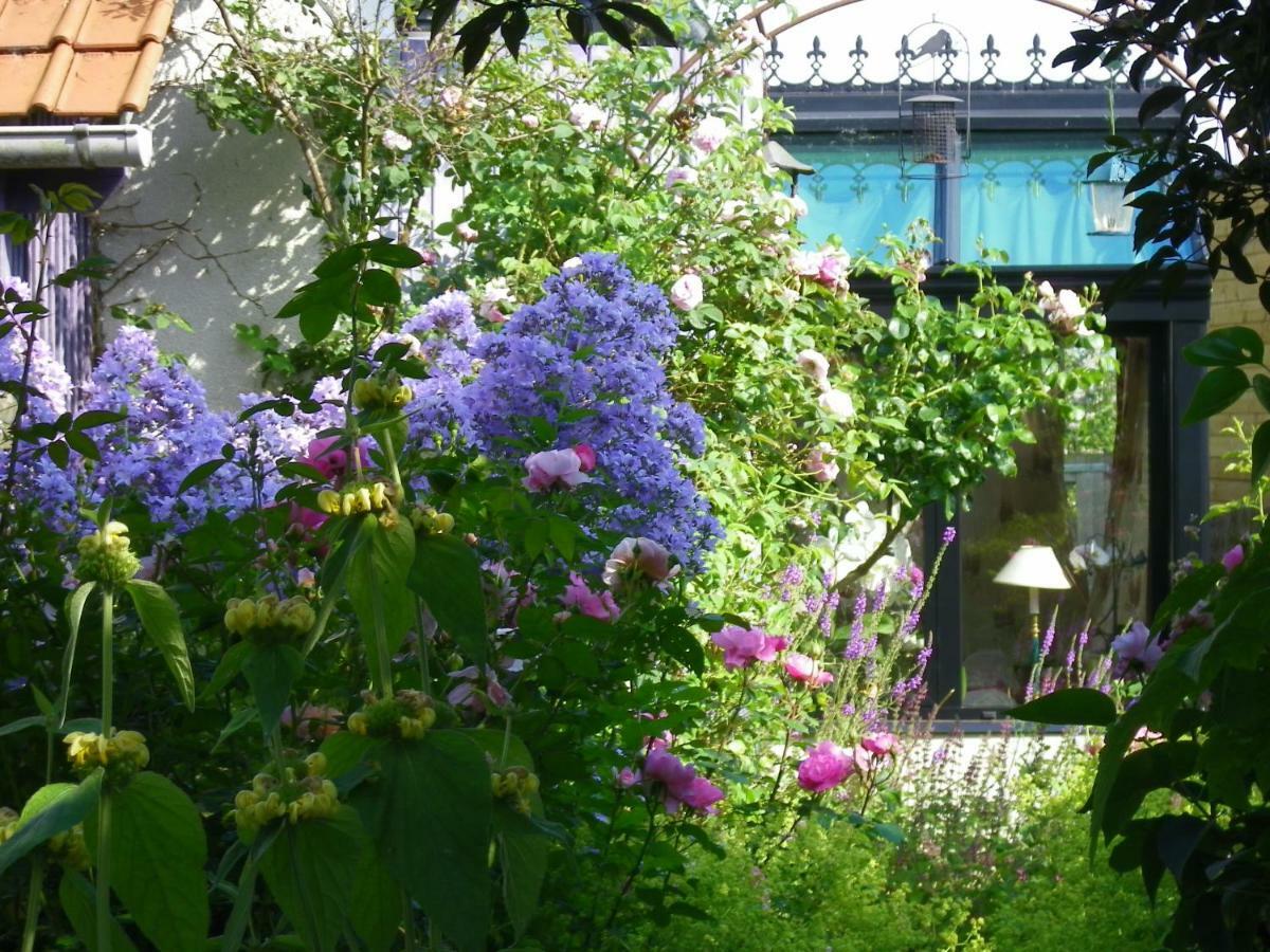 Bed and Breakfast La Colline Des Roses Conchil-le-Temple Екстер'єр фото